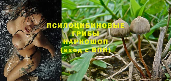 MDMA Premium VHQ Нязепетровск