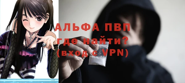 PSILOCYBIN Осинники
