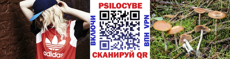 Галлюциногенные грибы Psilocybine cubensis  ОМГ ОМГ вход  Тосно  продажа наркотиков 