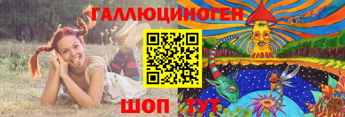 Псилоцибиновые грибы Cubensis  Тосно  Галлюциногенные грибы Magic Shrooms 