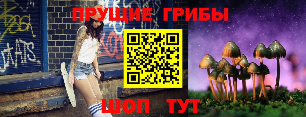 Галлюциногенные грибы Psilocybe Тосно