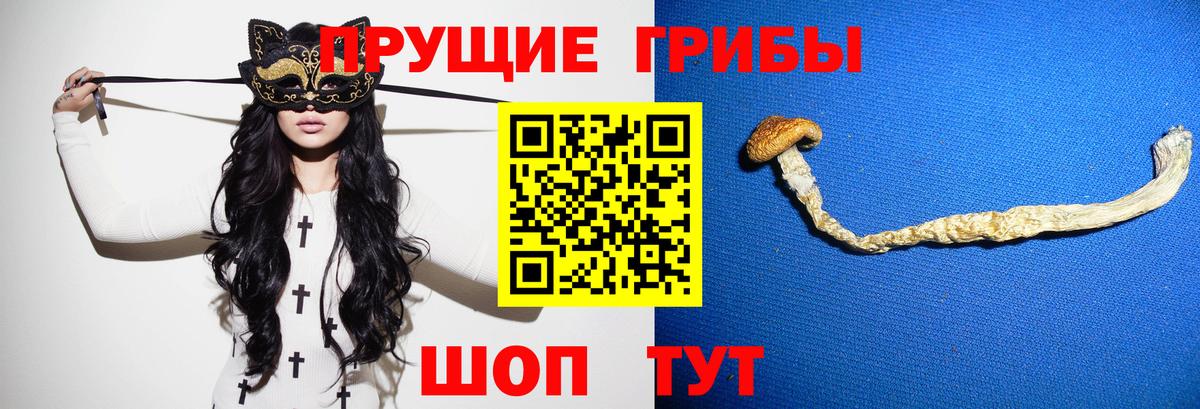 Псилоцибиновые грибы GOLDEN TEACHER Тосно