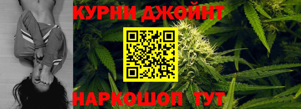 Тосно  Бошки марихуана планчик  Вход с VPN  Каннабис ГИДРОПОН  Бошки Шишки SATIVA & INDICA 