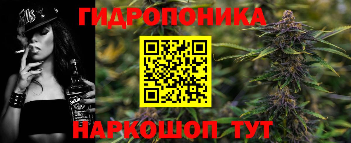 Бошки марихуана OG Kush Тосно